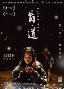 好看华人华人经典play